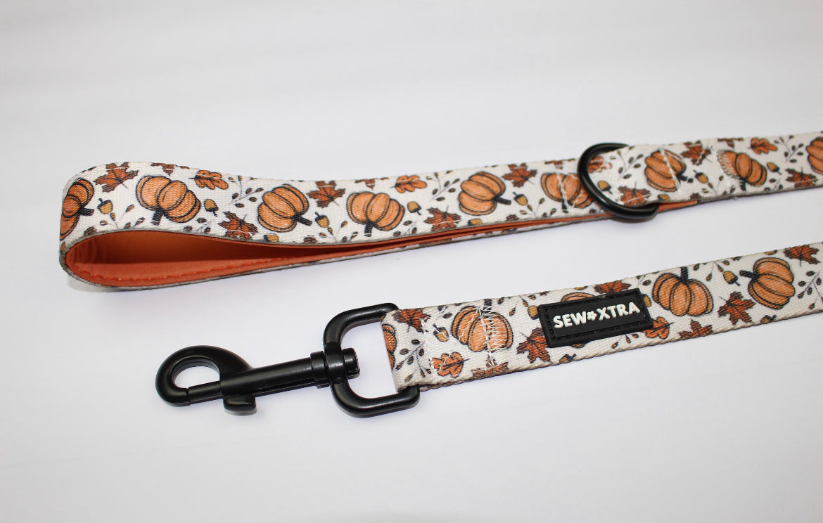 “Autumn” leash