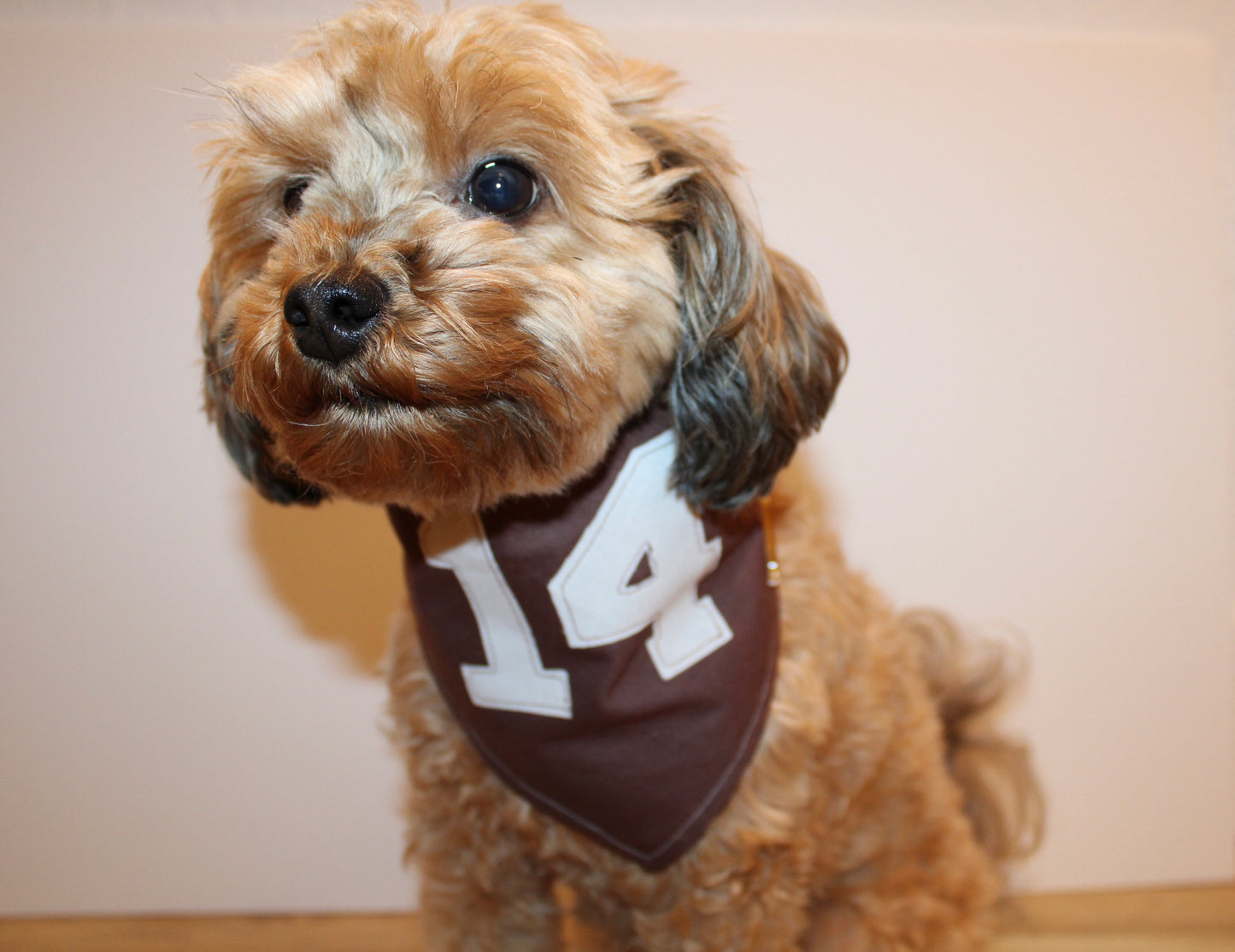 number 14 exclusive bandana!