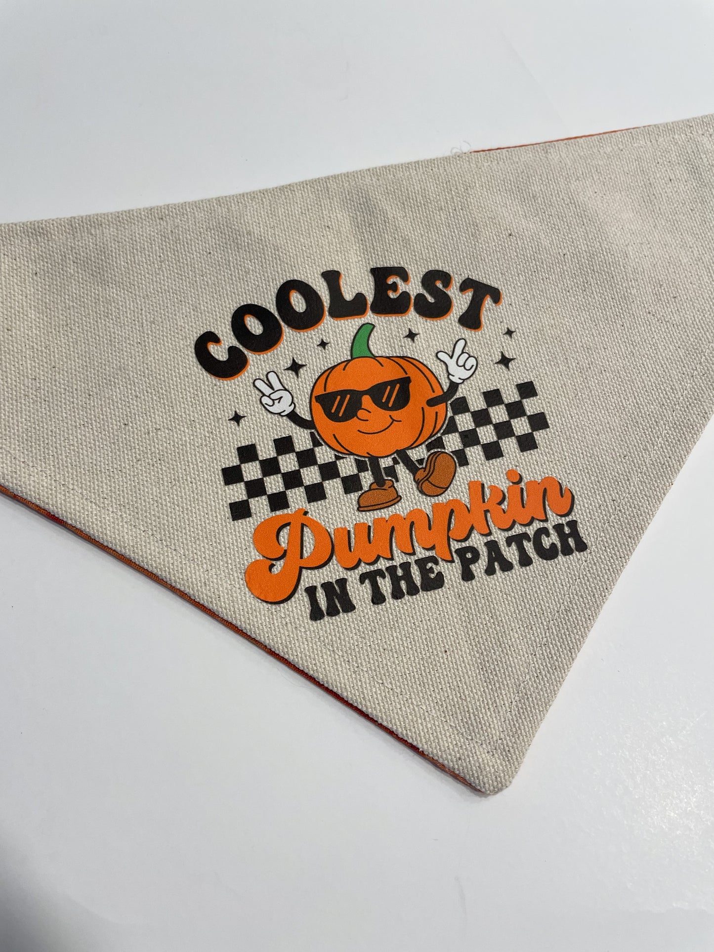 “coolest pumpkin” bandana