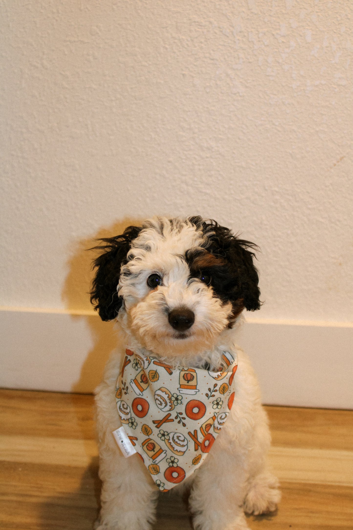 Cinnamon Sugar bandana