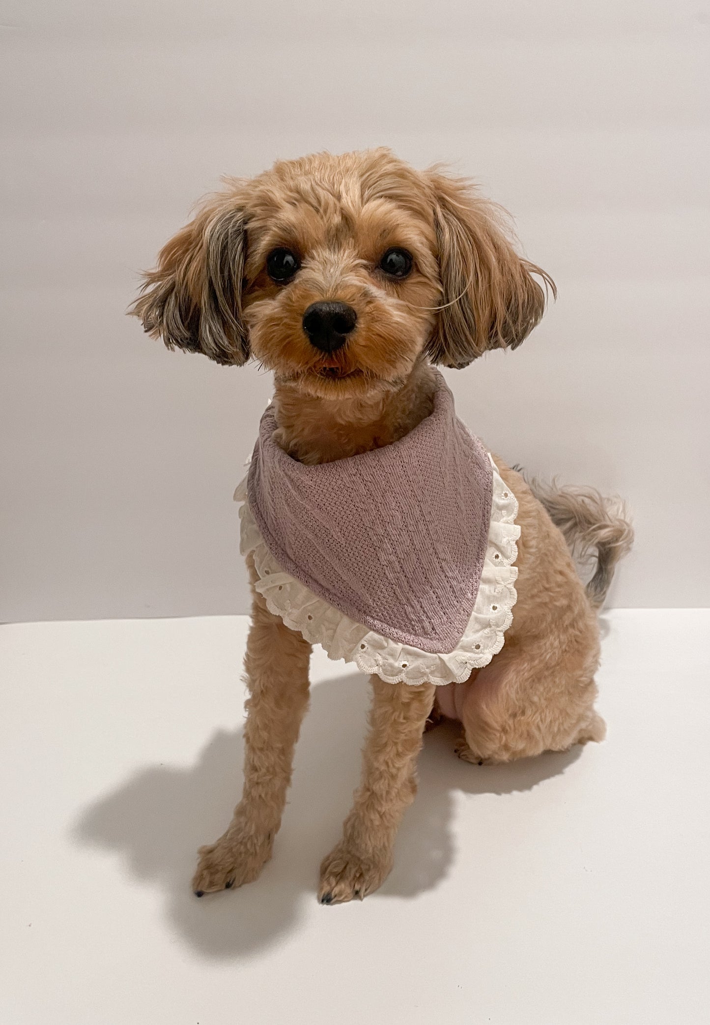 "violet" bandana