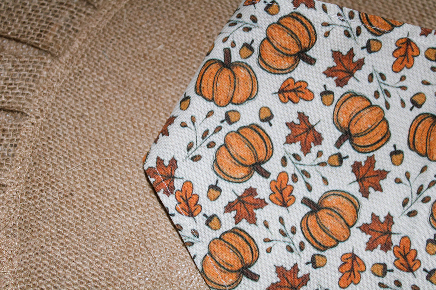 Autumn bandana