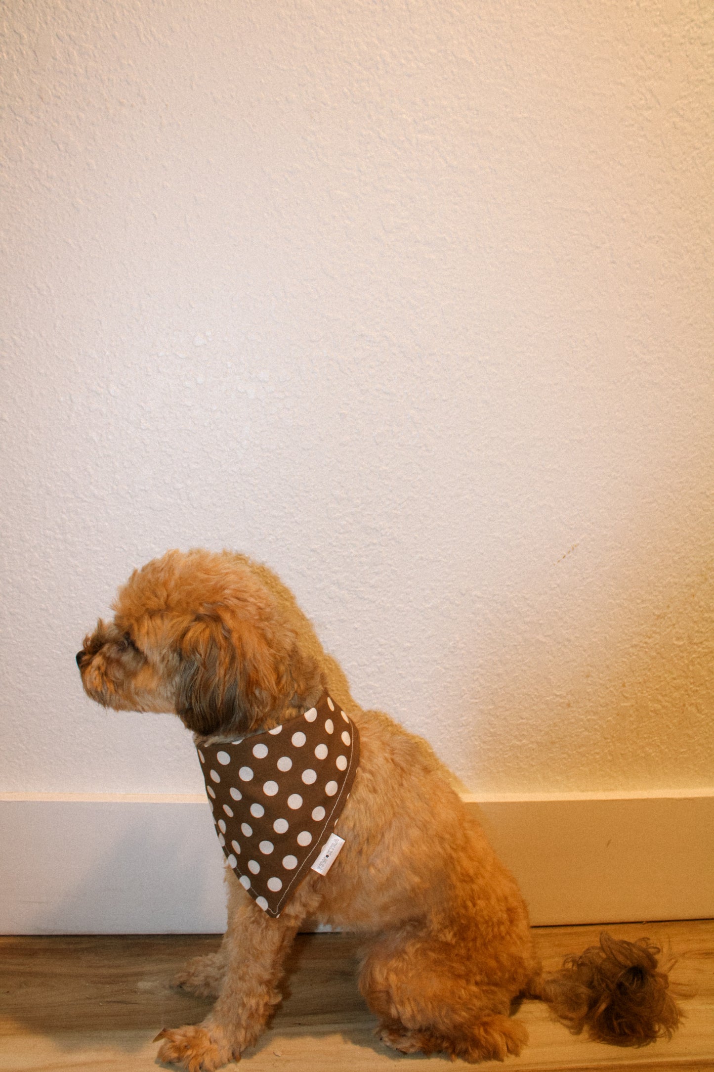 Cinnamon Sugar bandana