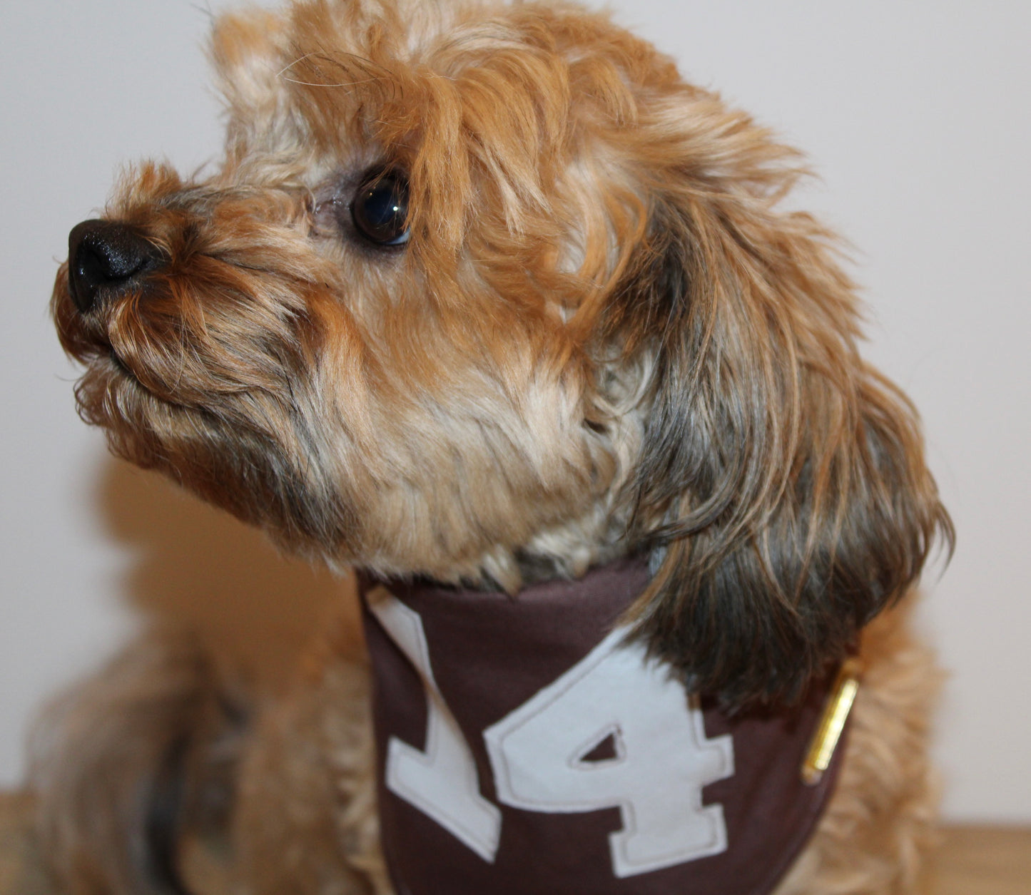 number 14 exclusive bandana!