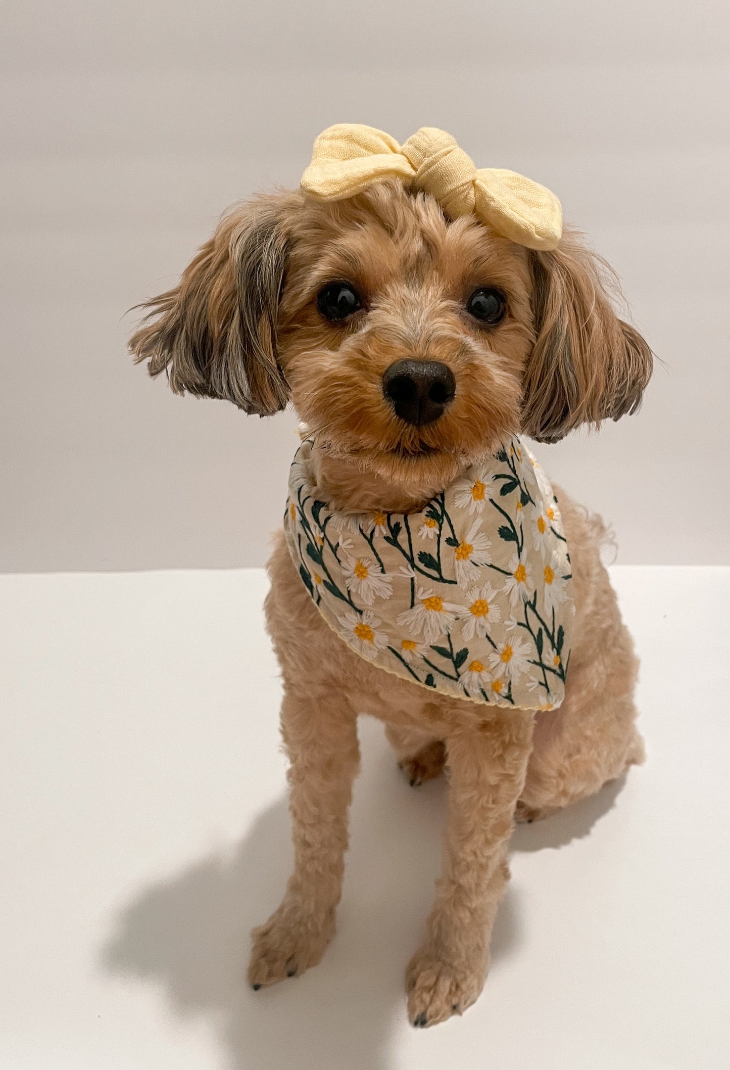 embroidered “daisy” bandana