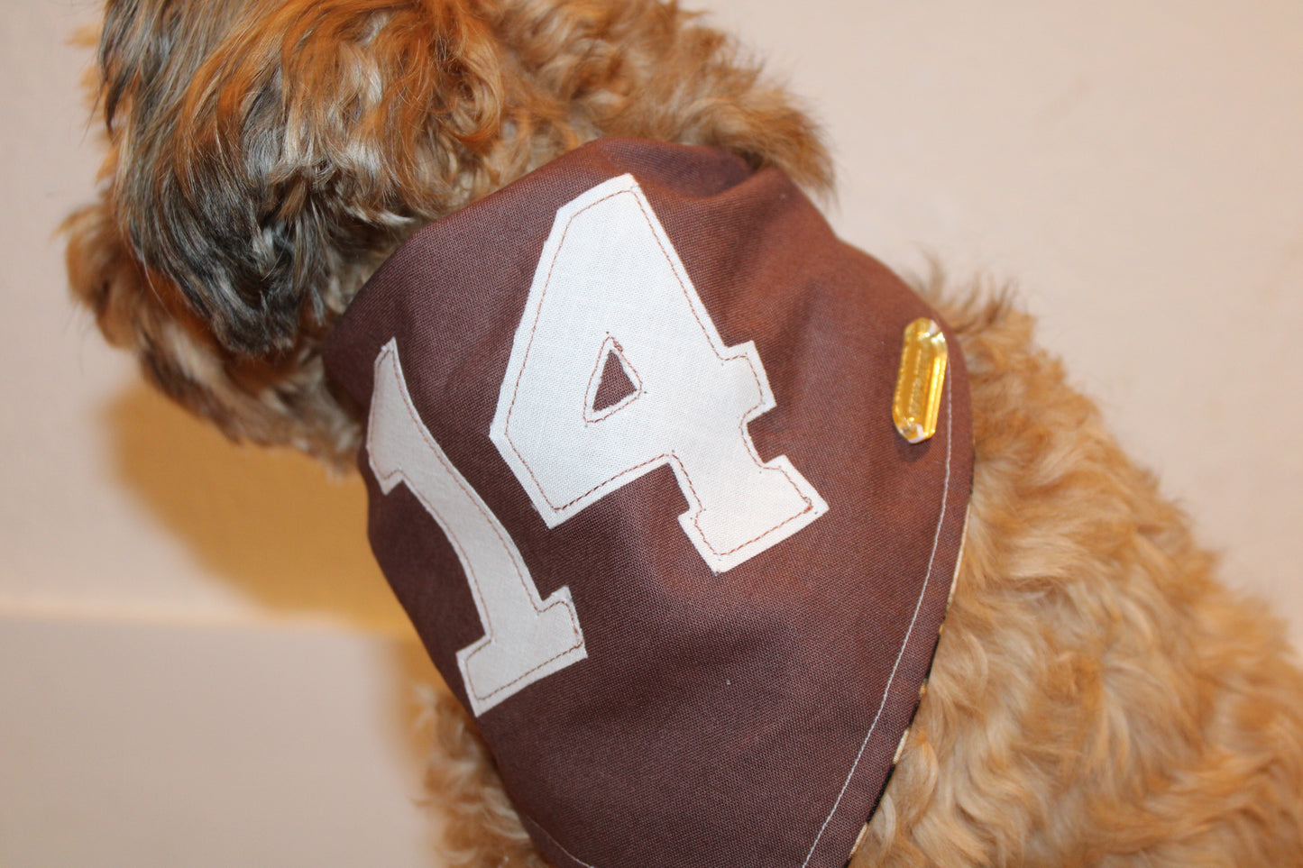 number 14 exclusive bandana!