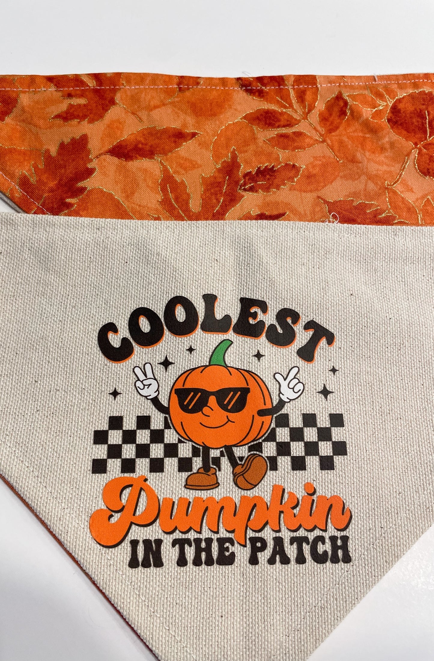 “coolest pumpkin” bandana