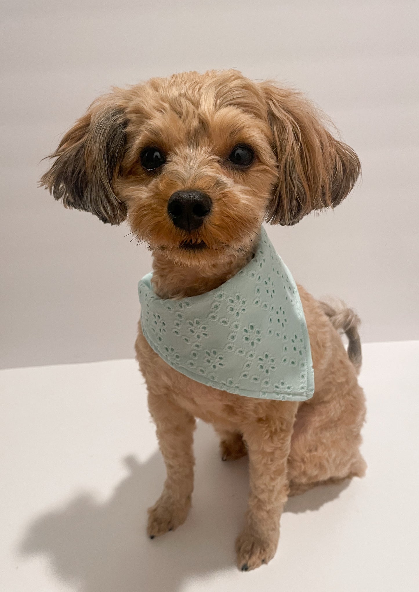 "ren" bandana