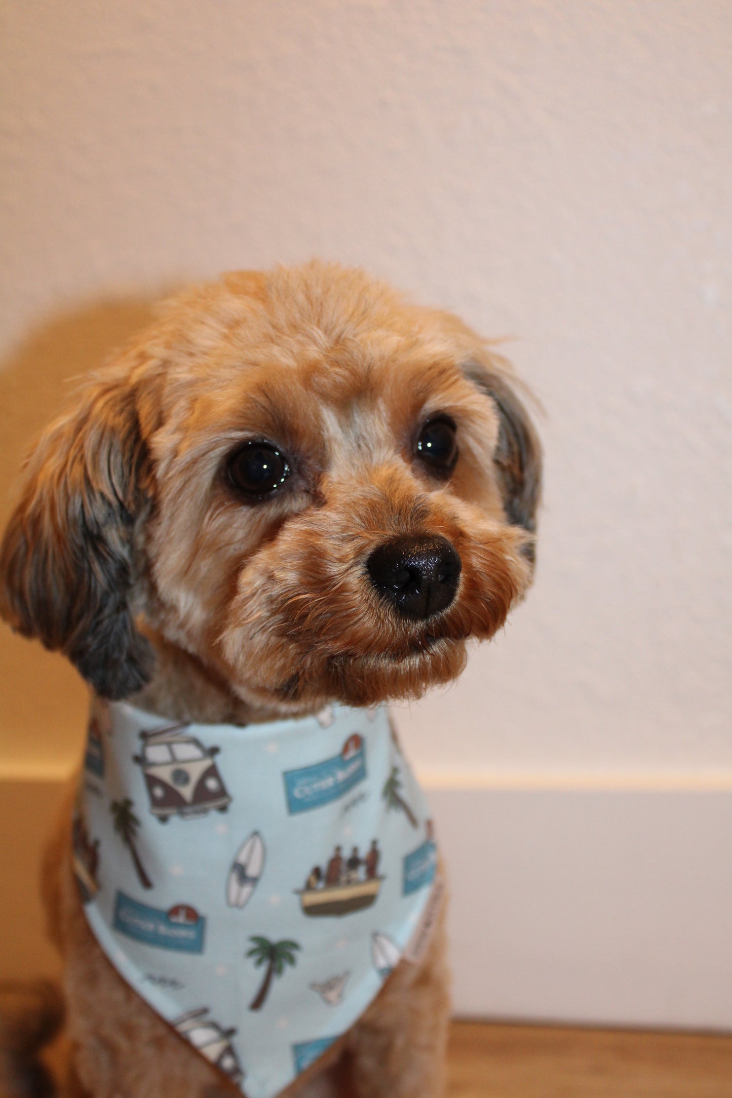 Outerbanks Custom Bandana