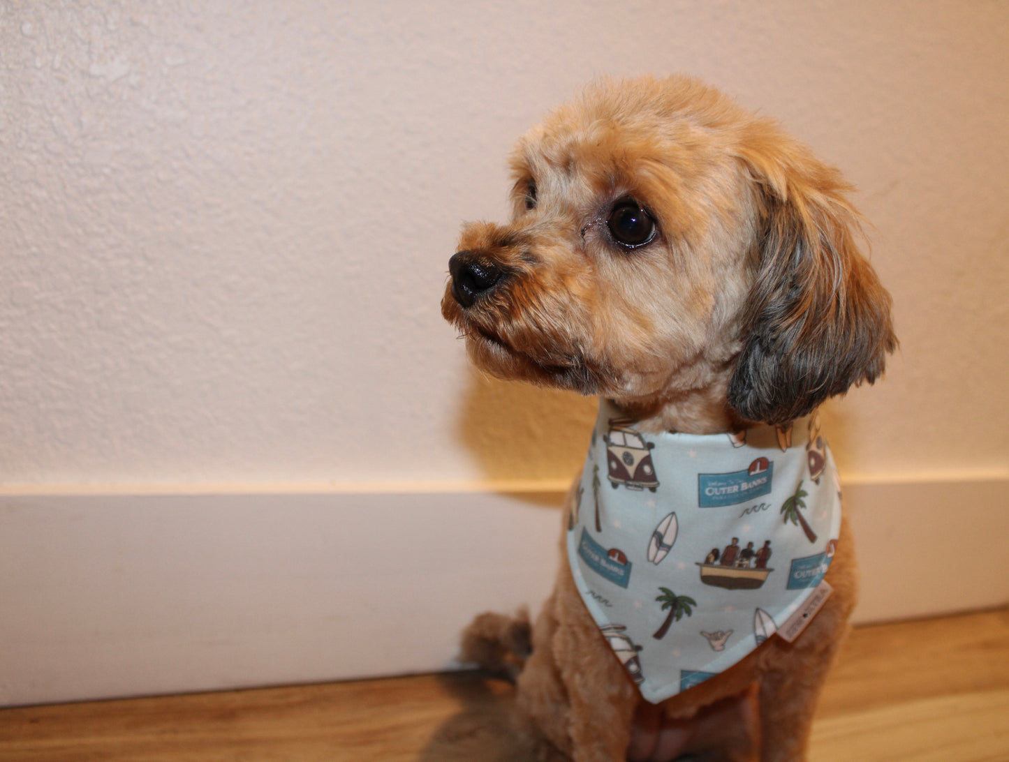 Outerbanks Custom Bandana