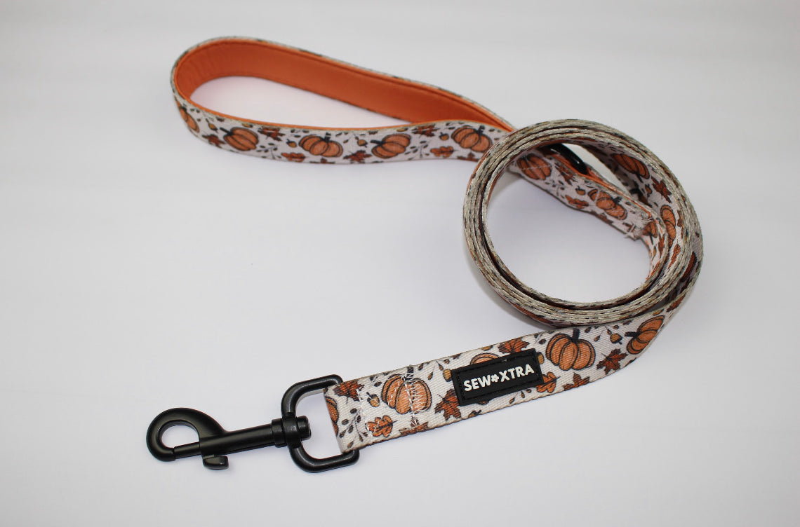 “Autumn” leash