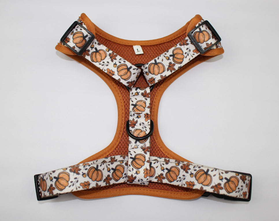 “Autumn” harness
