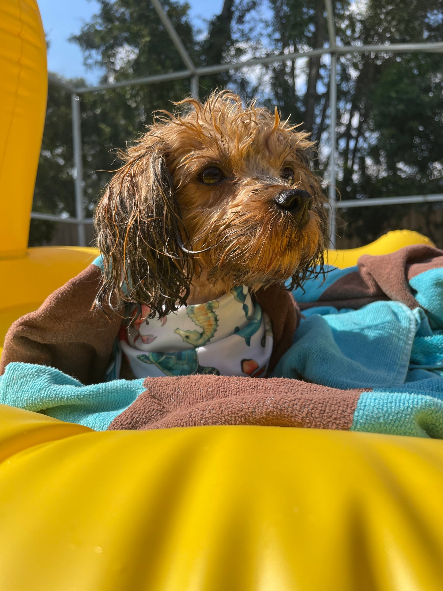 Swim Bandana