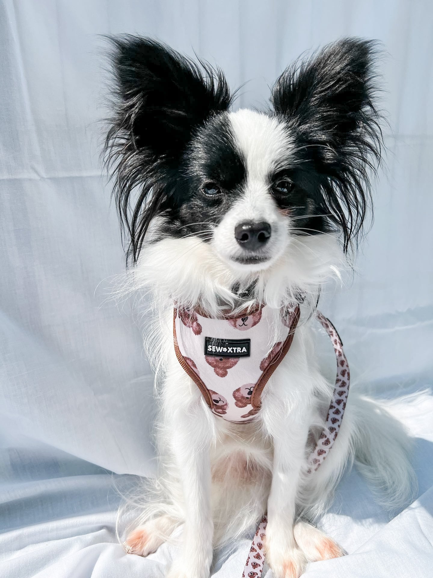 “The 'Bear' Necessities” harness