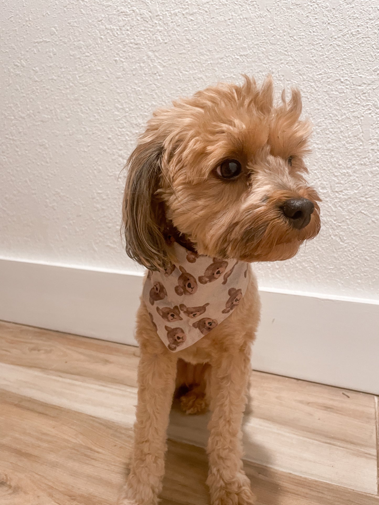 “The 'Bear' Necessities” bandana