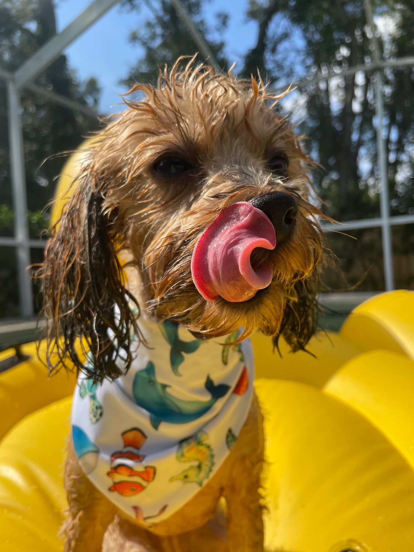 Swim Bandana