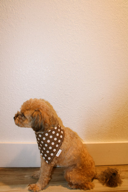 Cinnamon Sugar bandana