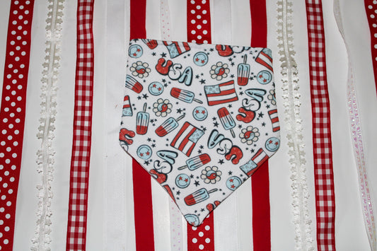 Retro USA bandana