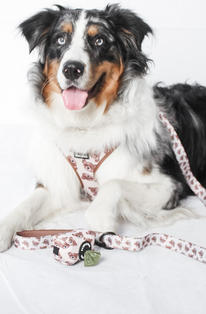 “The 'Bear' Necessities” leash