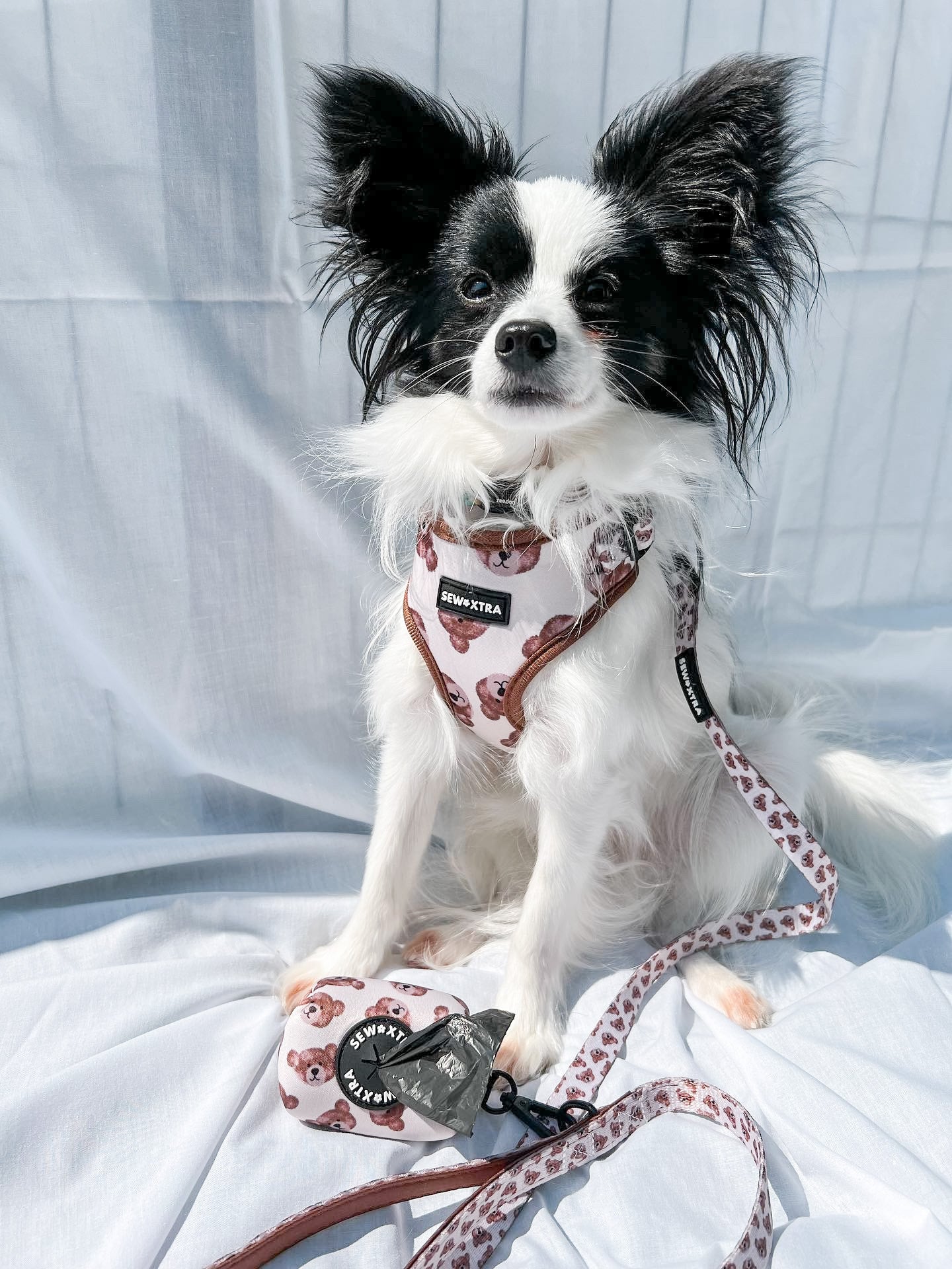 “The 'Bear' Necessities” leash