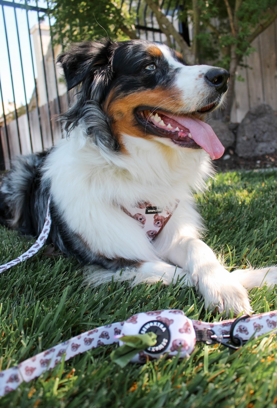 “The 'Bear' Necessities” leash
